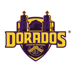 华雷斯城印第奥斯